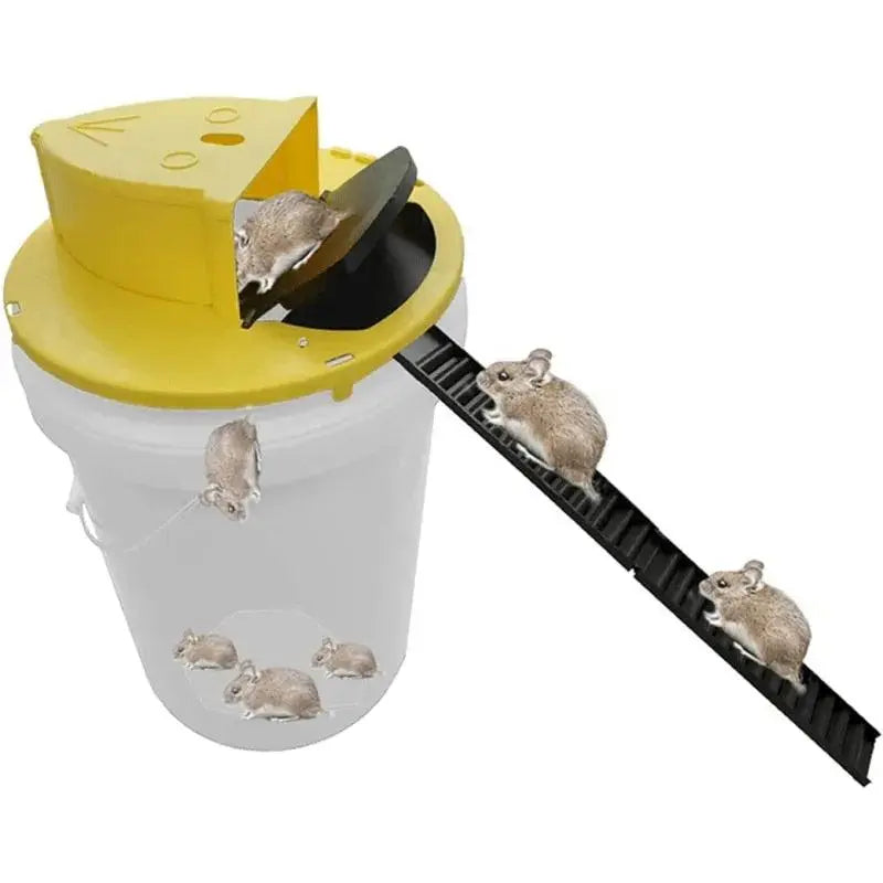 A Melhor Ratoeira Inteligente Reutilizável - EcoTrap [Oferta Exclusiva + BRINDE]