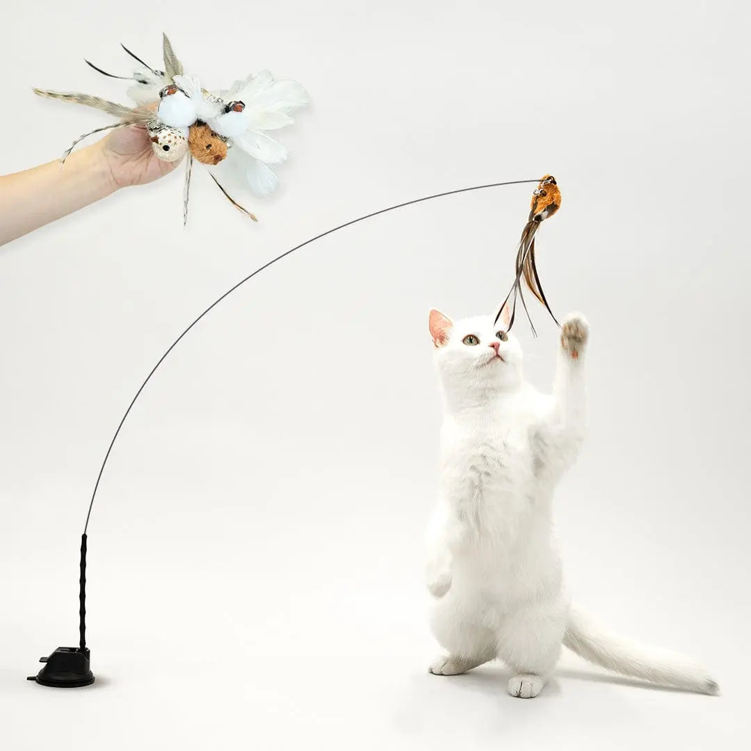 Varinha de Brinquedo para Gatos - Exercício e Diversão